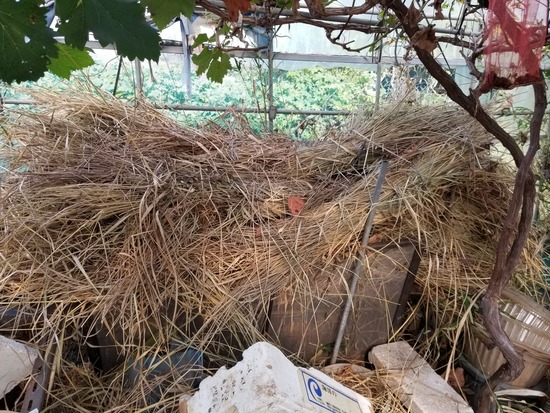 20190930_081605-2160x1620