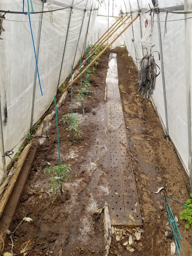 20210425_084448_copy_2268x3024