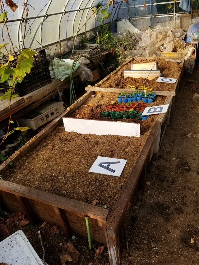 20201116_082949_copy_2268x3024