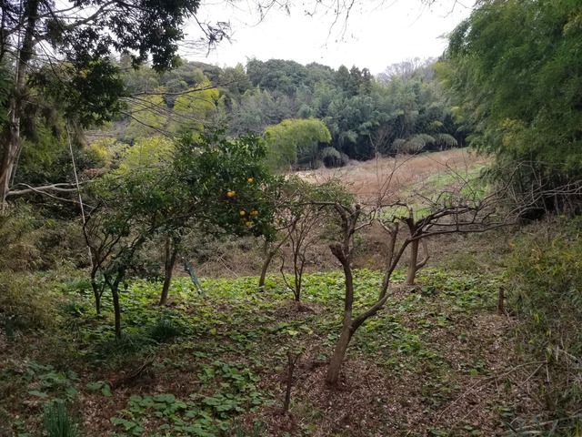 20240103_100013_copy_2016x1512