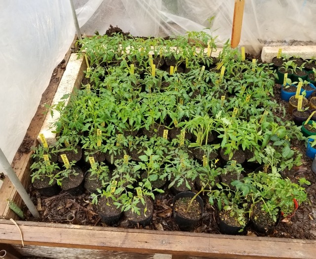 20190330_102551-1365x1024