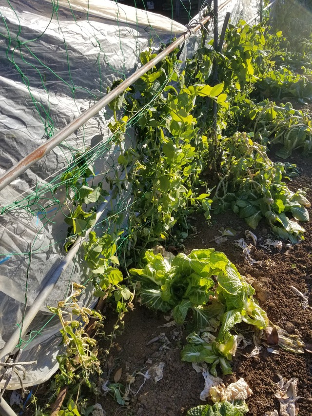 20220119_081252_copy_2268x3024