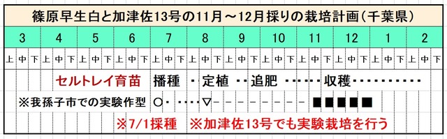 １
