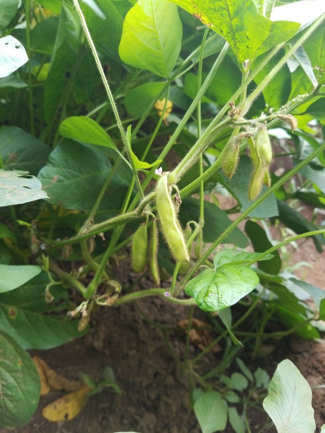 IMG_20230916_100700_copy_1512x2016