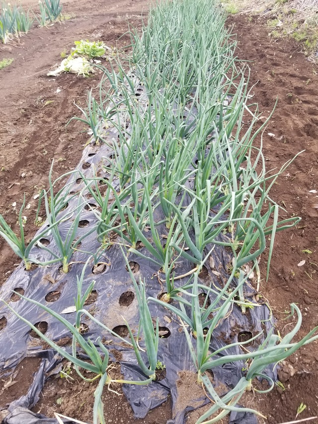 20240408_095502_copy_2268x3024