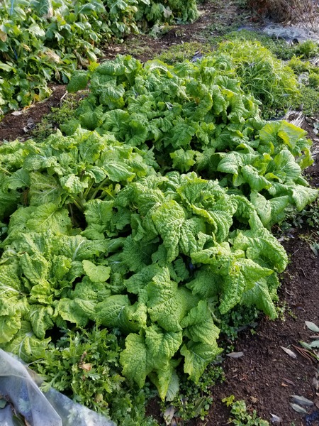 20200110_083833-2268x3024