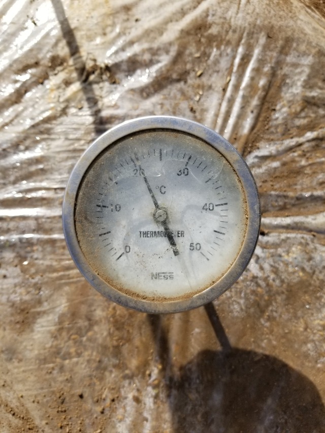 20230311_142004_copy_1209x1612