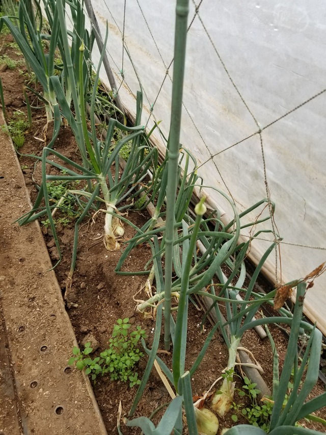 20240404_075951_copy_2268x3024