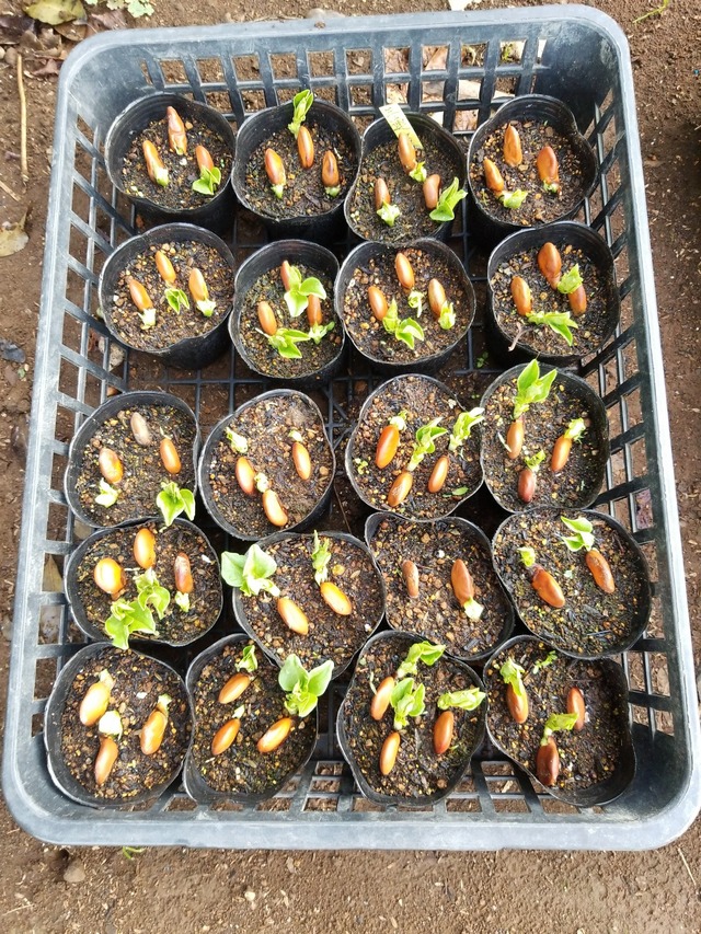 IMG_20231106_083711_DRO_copy_1512x2016