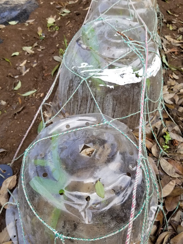 20200421_085820_copy_2268x3024