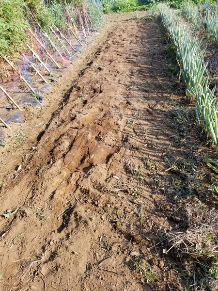 20190803_164138-1620x2160