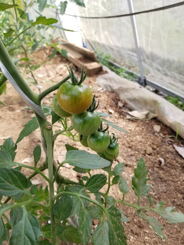 20210601_084237_copy_2268x3024