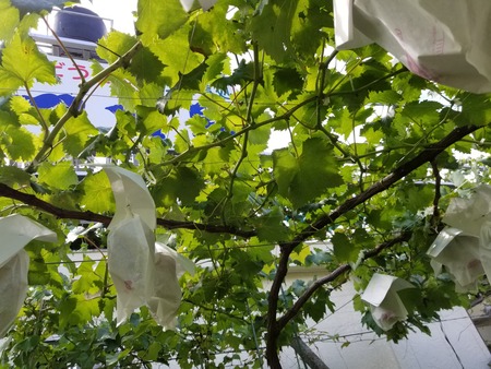 20190728_135159-2160x1620