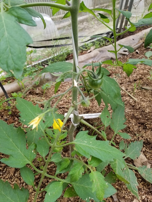 20220523_084612_copy_2268x3024
