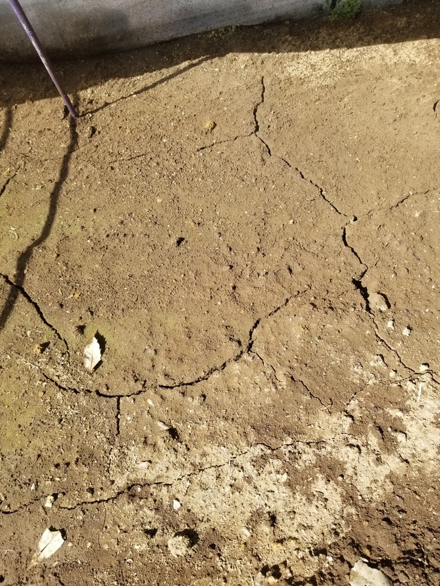 20220319_093927_copy_2268x3024