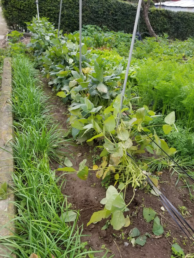 20211031_080000_copy_2268x3024