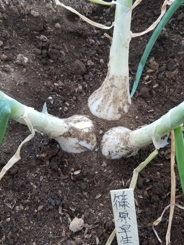 20230110_084421_copy_1512x2016