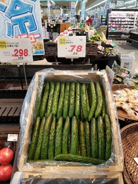 20190717_091712-1620x2160