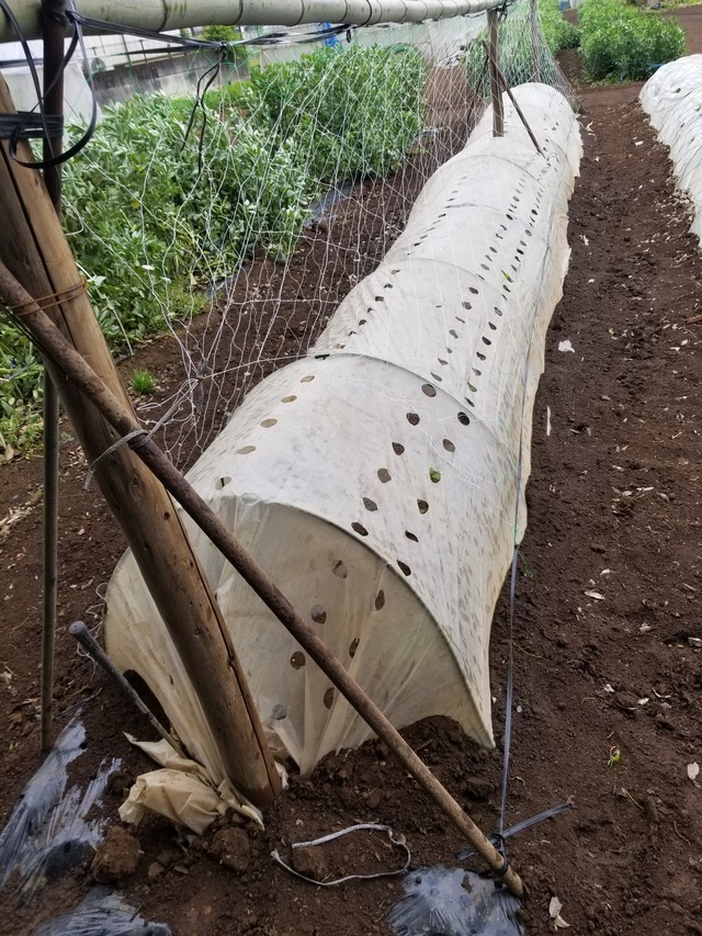 20230430_080655_copy_1512x2016