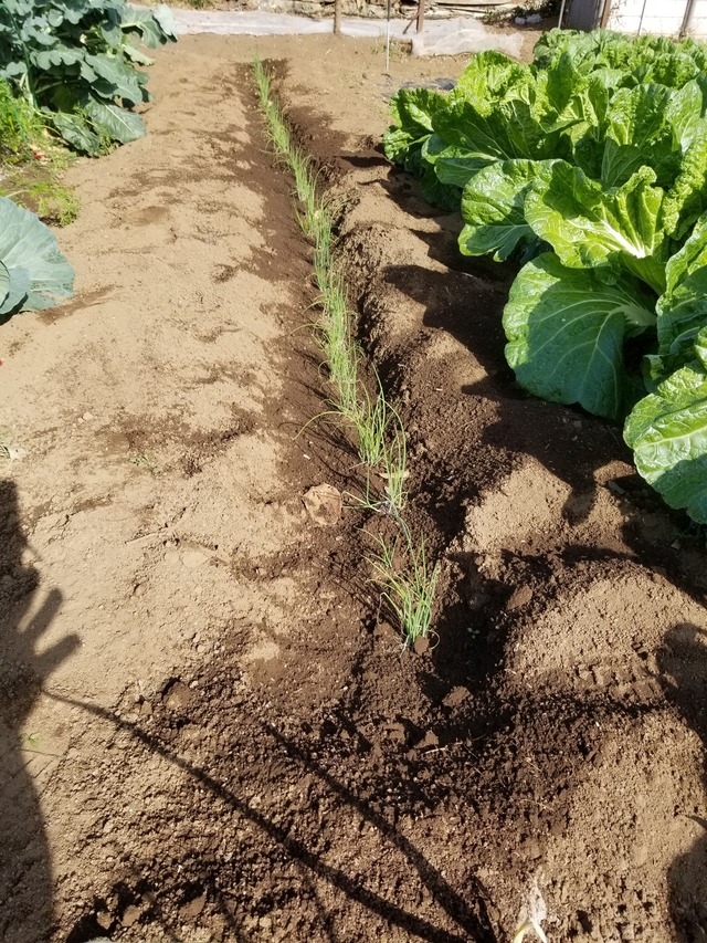 20221107_093913_copy_1512x2016