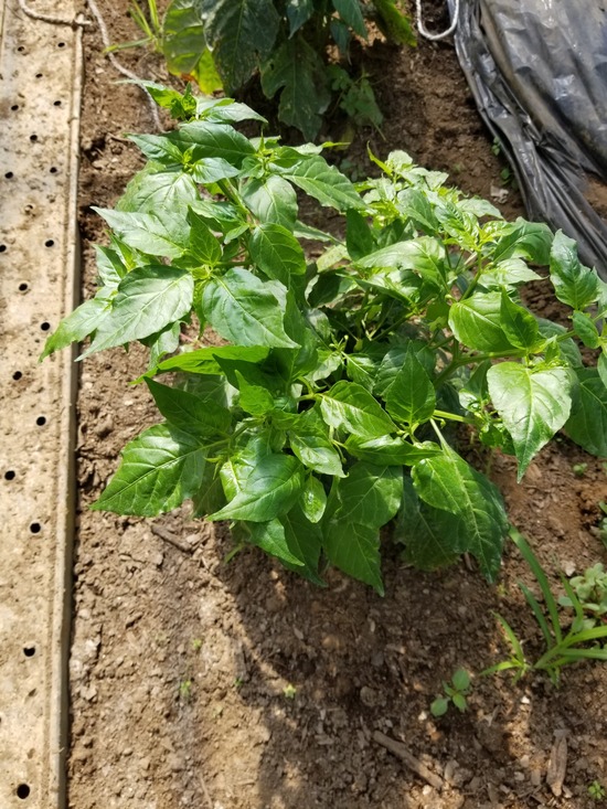 20191013_105100-1620x2160