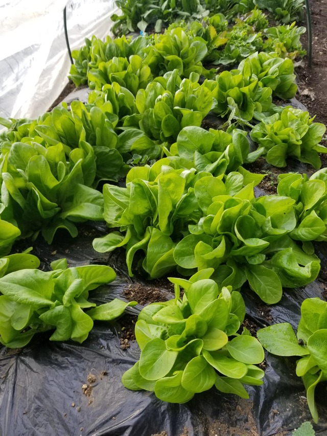 20240122_135915_copy_1512x2016