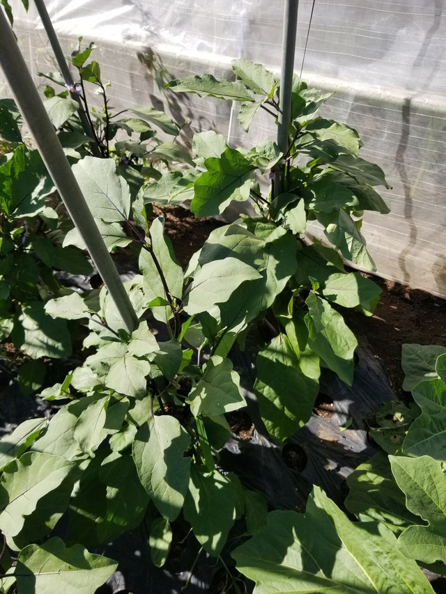 20230730_153230_copy_1512x2016