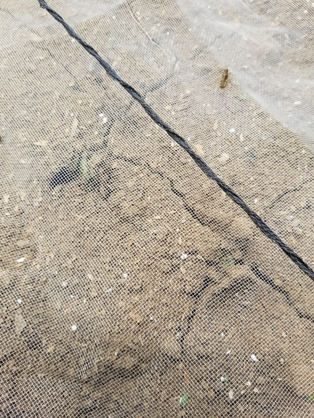 20200703_113446_copy_2268x3024