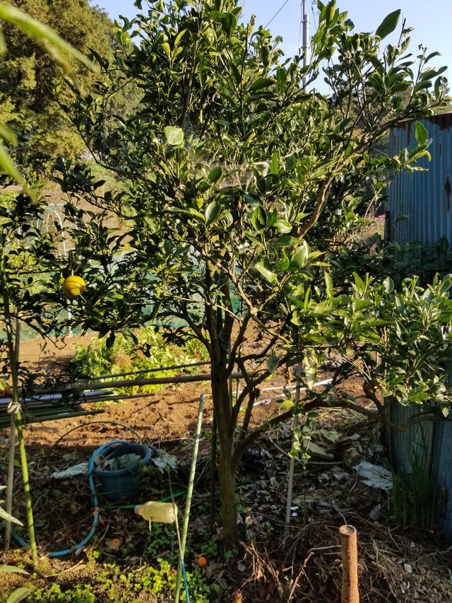 20201116_083240_copy_2268x3024
