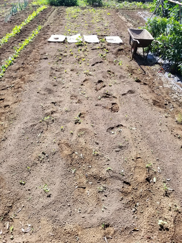 20220914_102824_copy_2268x3024