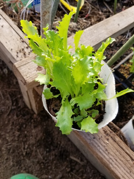 20191212_081731-1620x2160