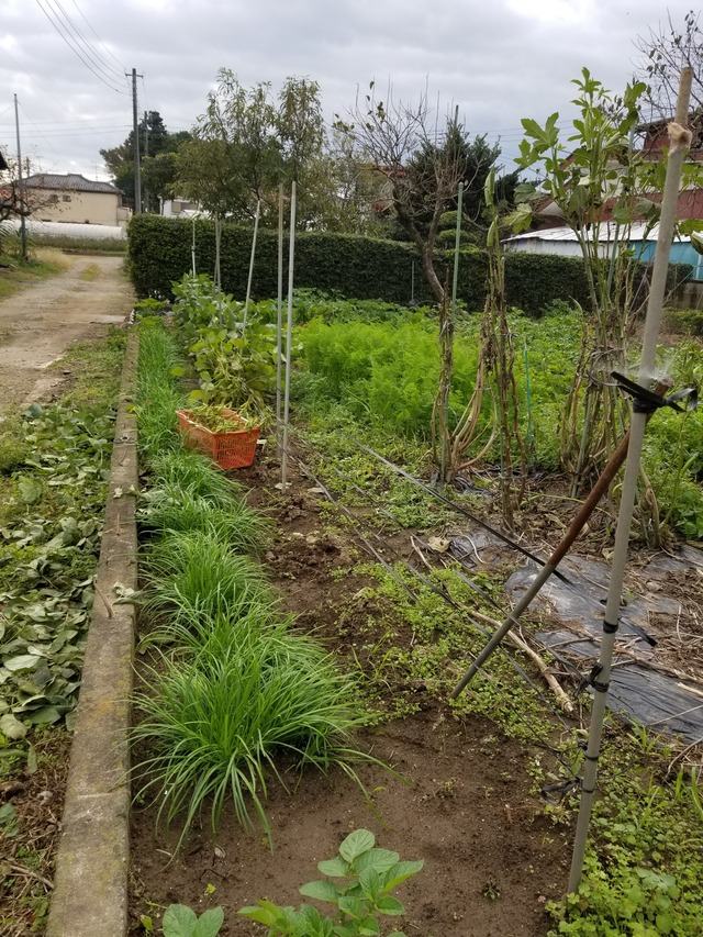 20211031_075951_copy_2268x3024