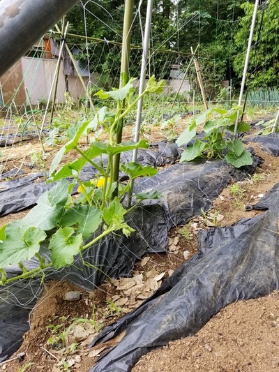 20190531_084242-1620x2160