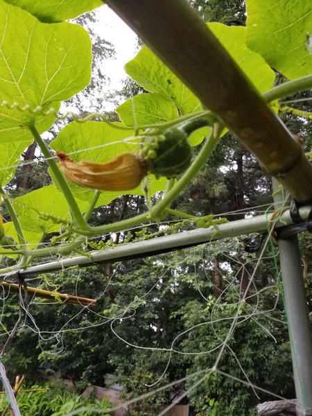 20190712_080012-1620x2160