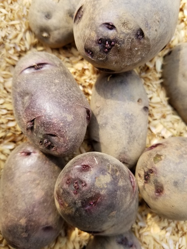 20200229_110846-2268x3024