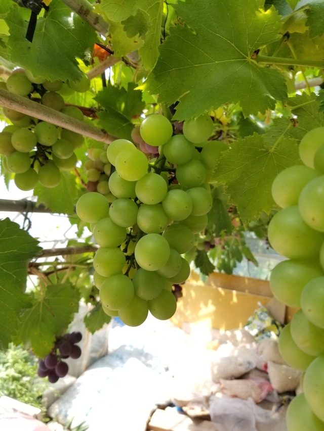 20230728_110409_copy_1512x2016