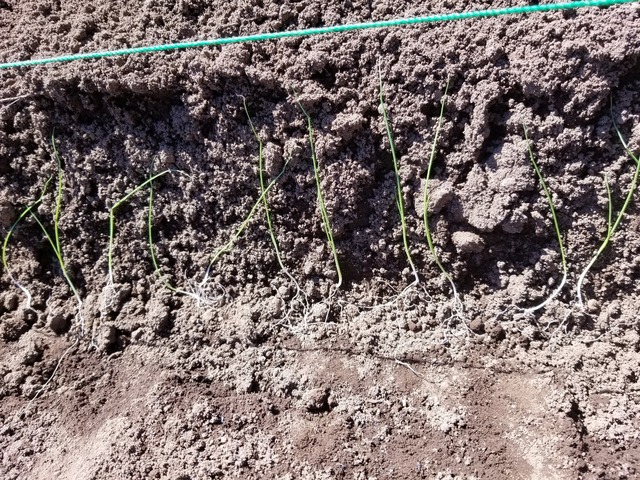 20230319_133535_copy_1612x1209