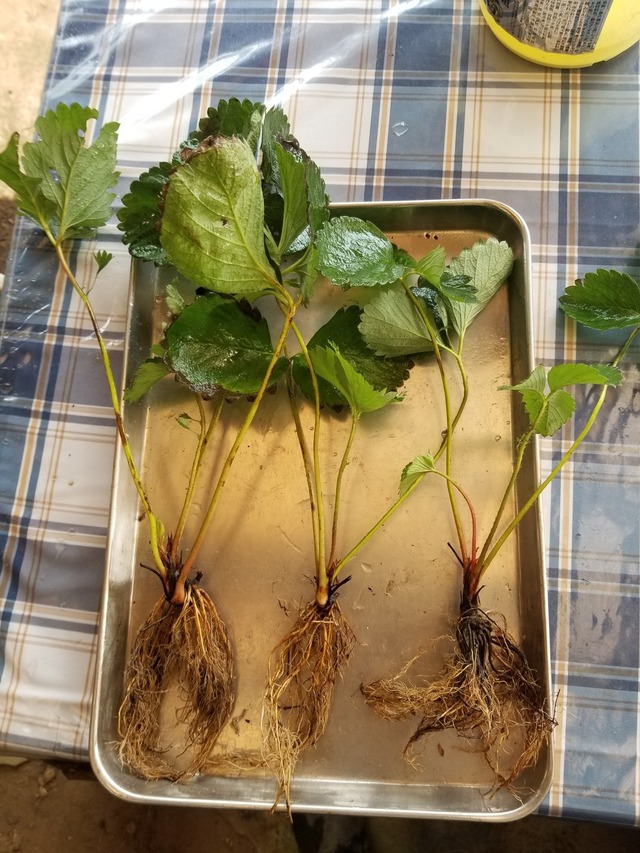 20230814_080305_copy_1512x2016