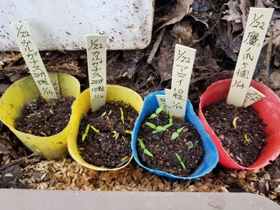 20200128_085634-3024x2268