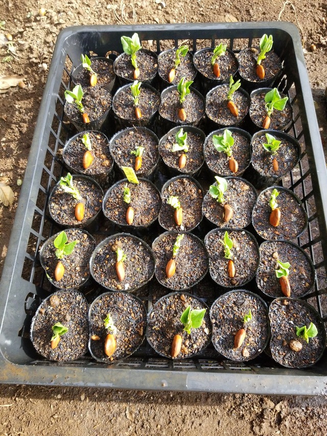 IMG_20231106_103116_DRO_copy_1512x2016