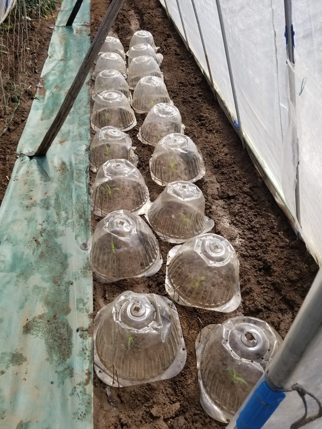 20240327_094510_copy_2268x3024