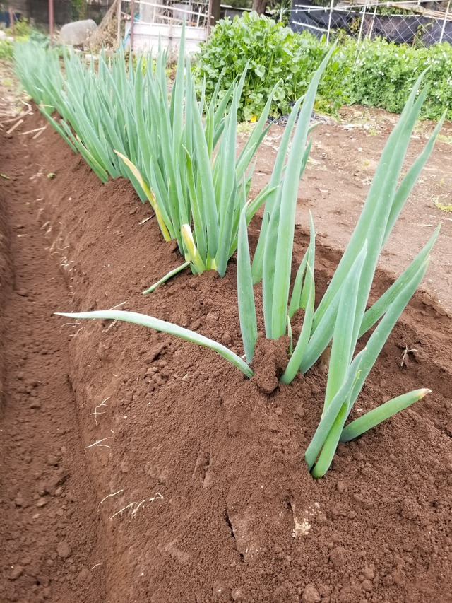 20240408_100808_copy_2268x3024