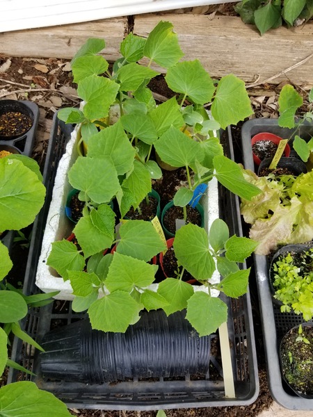 20190703_091019-1620x2160