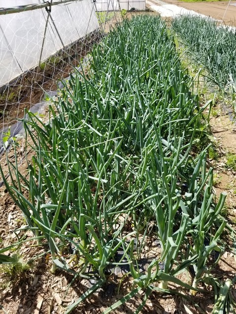 20190509_092108-1620x2160