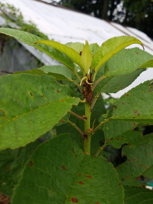 IMG_20230922_105332_copy_1512x2016