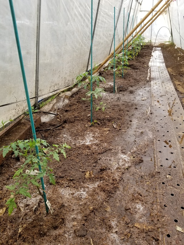 20210425_084515_copy_2268x3024