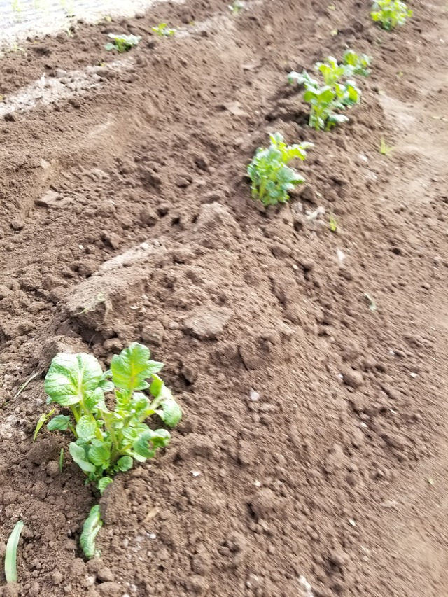 20210917_083544_copy_2268x3024