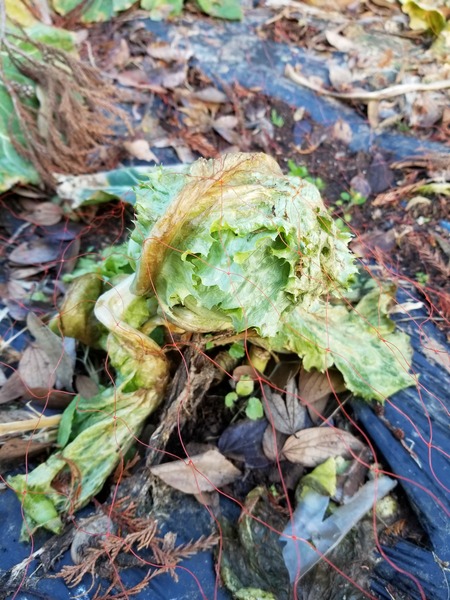 20200110_083642-2268x3024