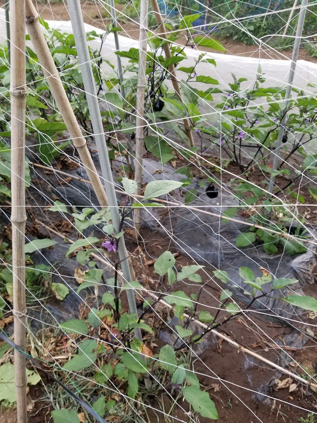 20210723_171215_copy_2268x3024