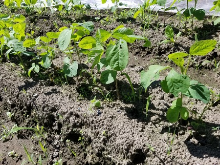 20190726_091138-2160x1620